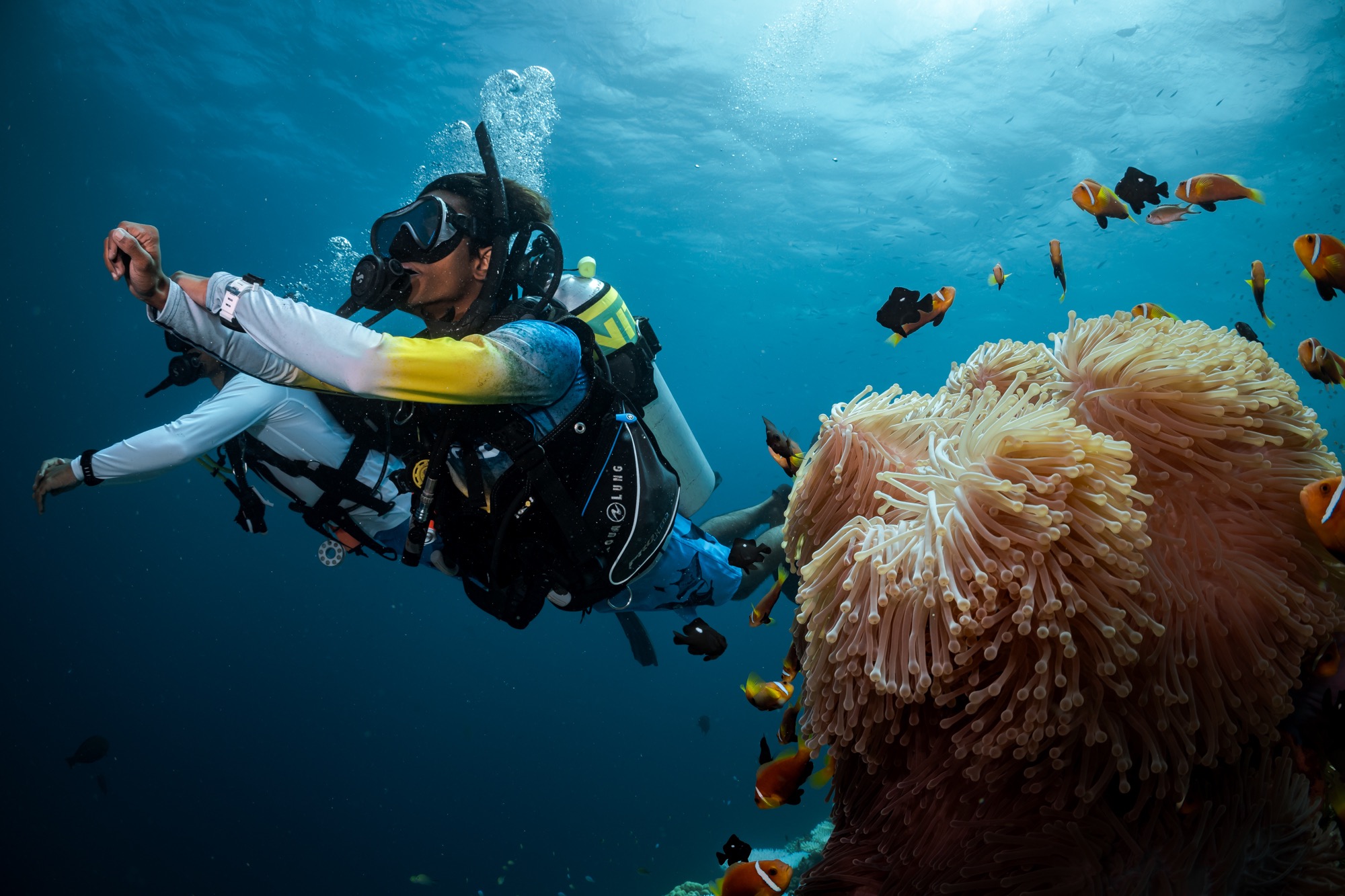 Fun Diving Hon Bac
