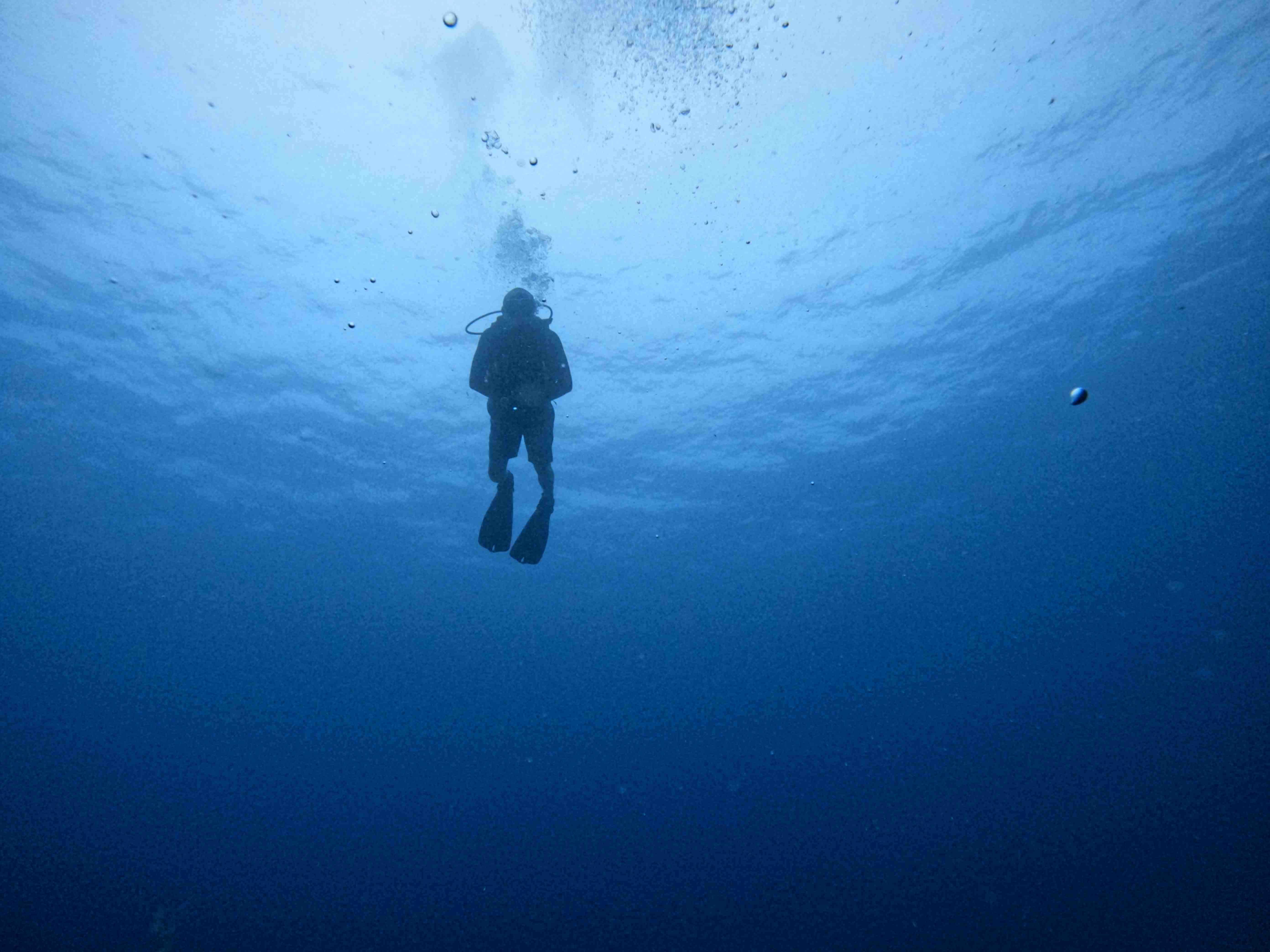 padi-night-diver