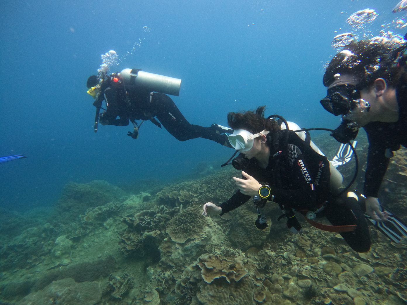 Fun Diving Nha Trang Images