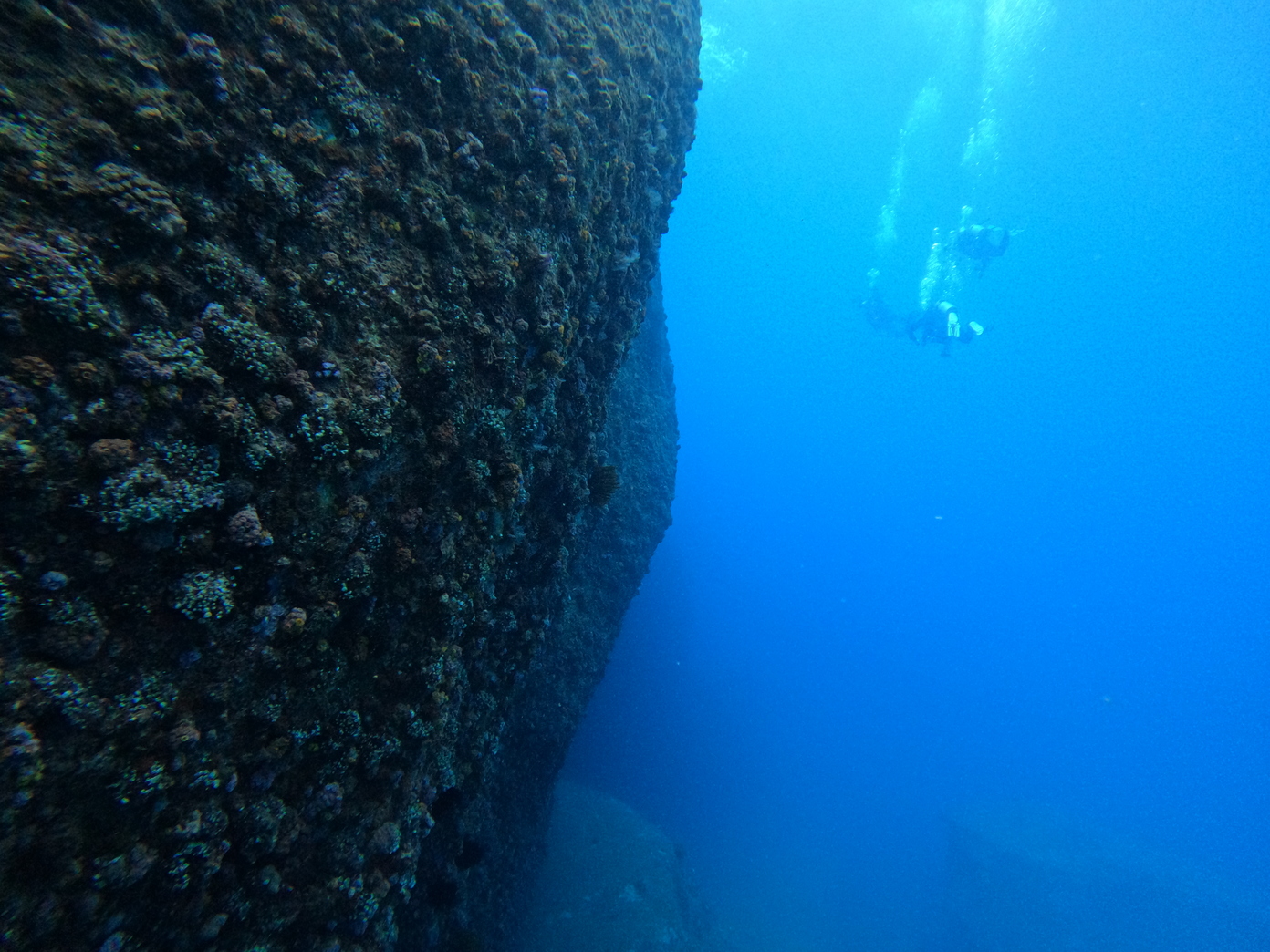 Fun Diving Electric Nose Images